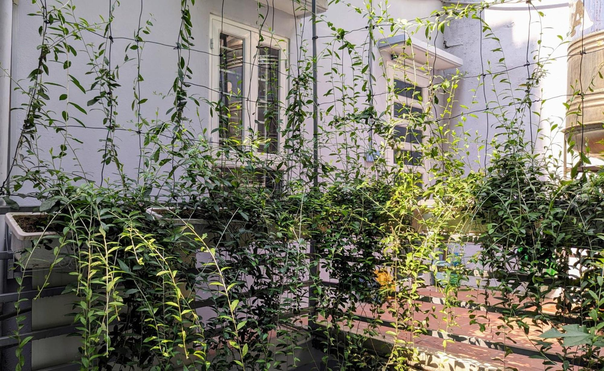 Goc Nho Ha Noi Homestay Hanoi Zewnętrze zdjęcie
